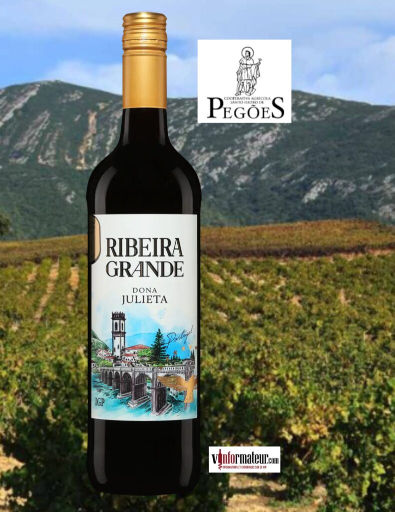 Ribeira Grande, cuvée Dona Julieta, Portugal, vin rouge, 2022 bouteille