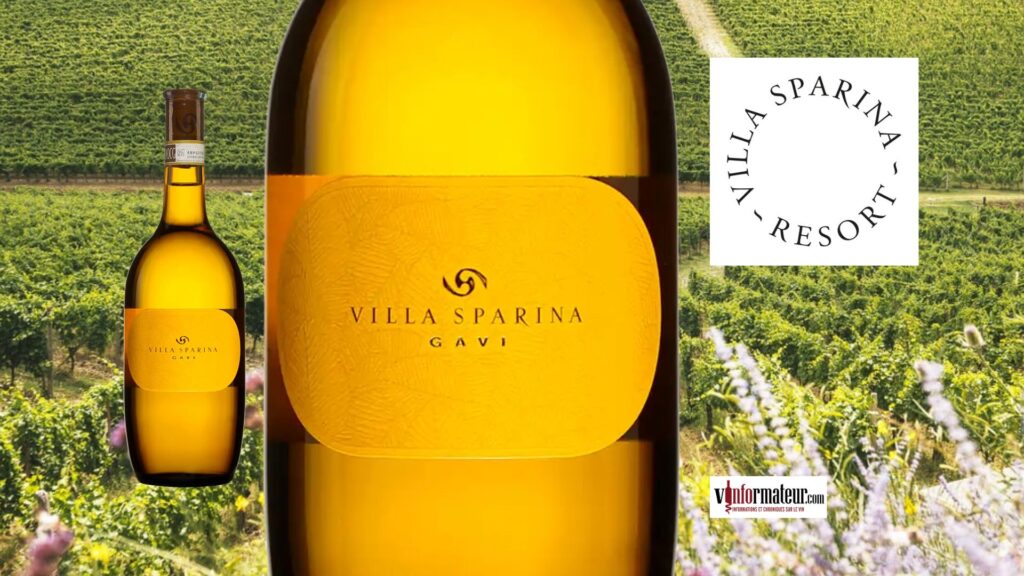 Pourquoi le Gavi del Comune di Gavi 2024 de Villa Sparina m’a séduit!