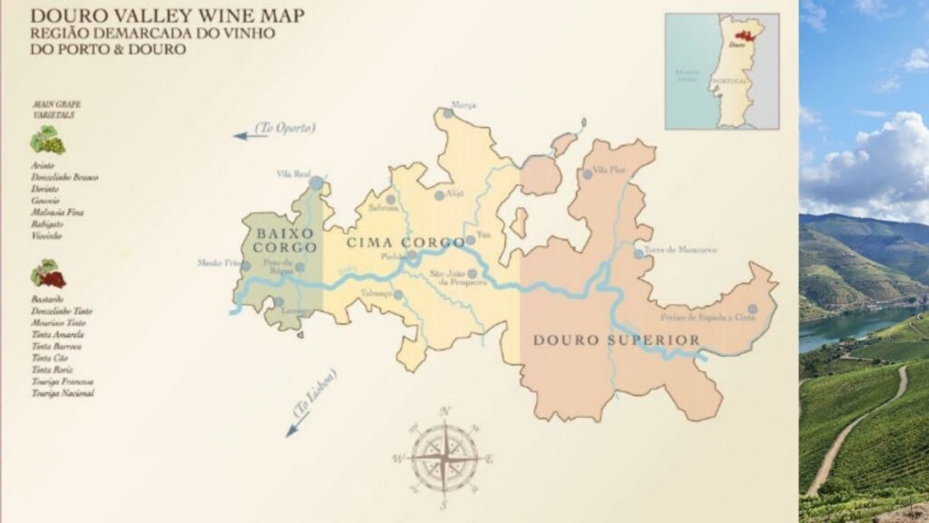 Carte viticole Portugal Douro