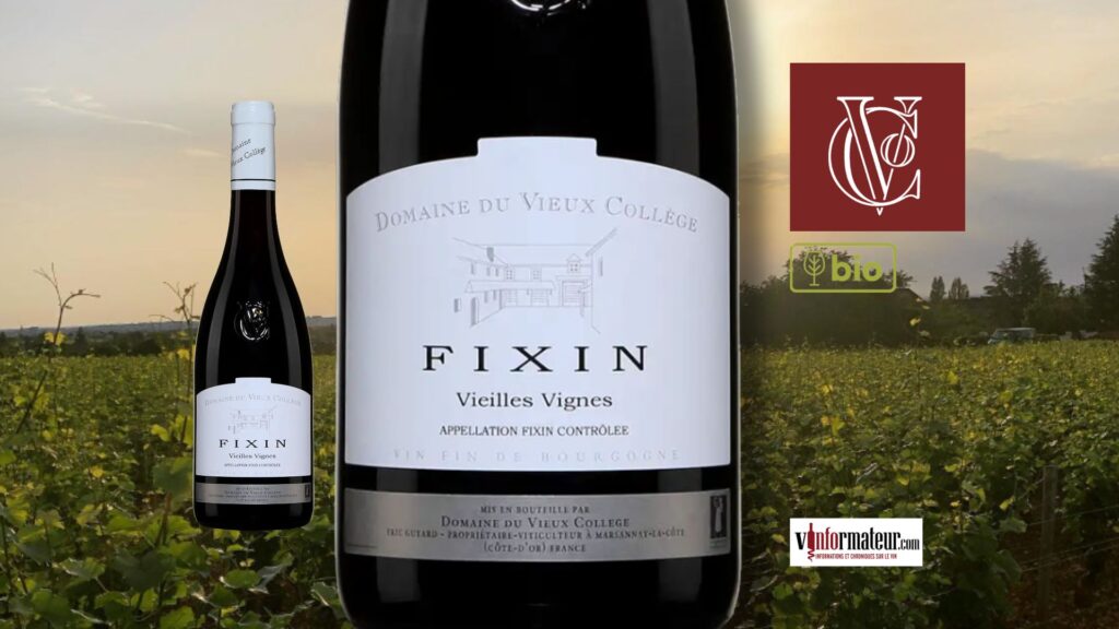 Fixin 2023, Domaine du Vieux Collège : la profondeur des vieilles vignes en Bourgogne
