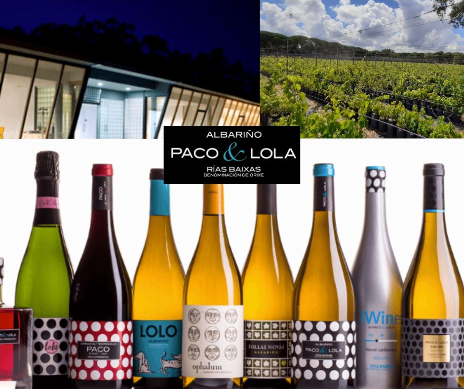 Paco & Lola: chai, vignobles et vins bouteille