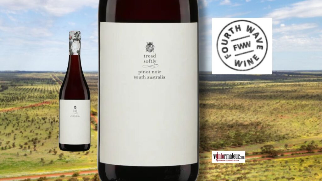 Tread Softly Pinot Noir 2025 : léger, frais et abordable!