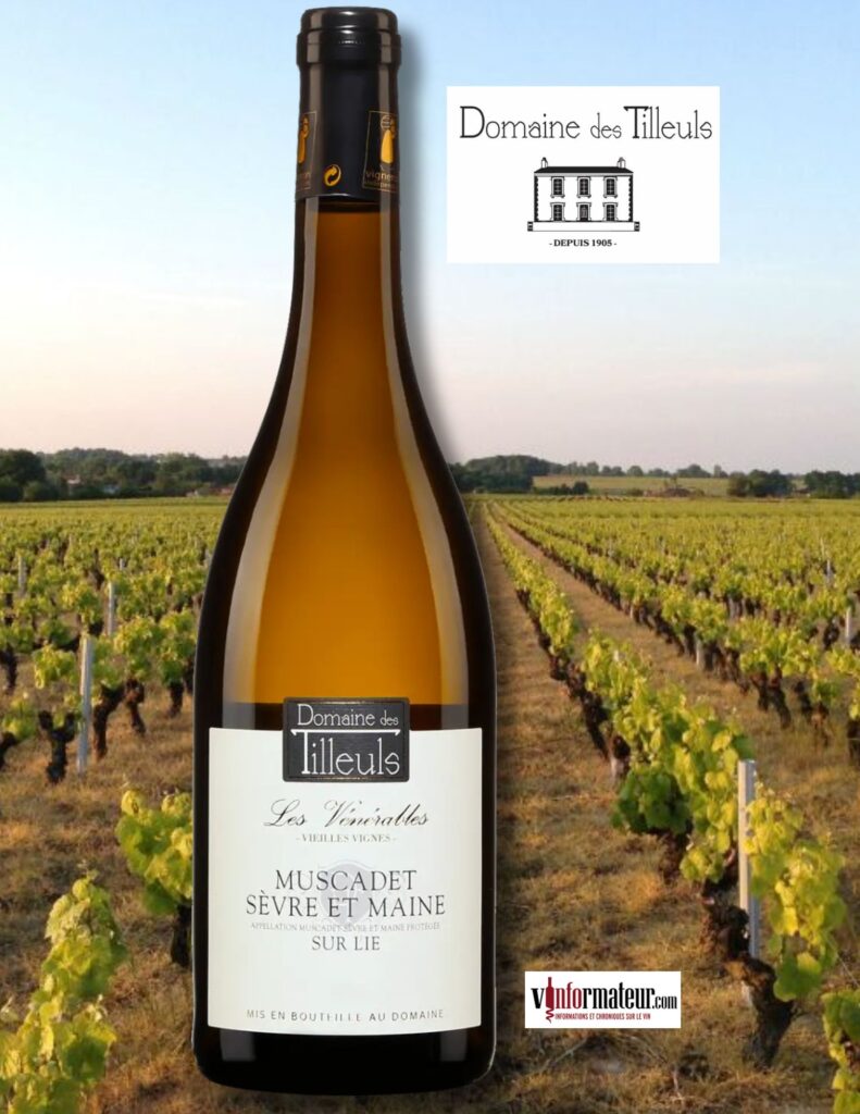 Domaine des Tilleuls, Les Vénérables, France, Val de Loire, Muscadet Sèvre et Maine sur lies, Vieilles Vignes, 2023