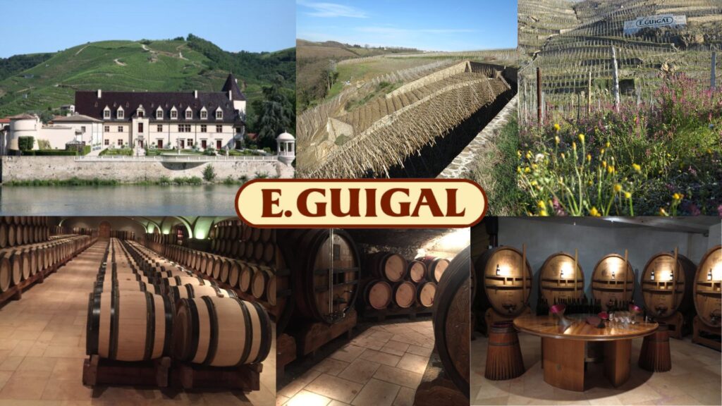 Maison E. Guigal: Château d'Ampuis, vignobles et chai
