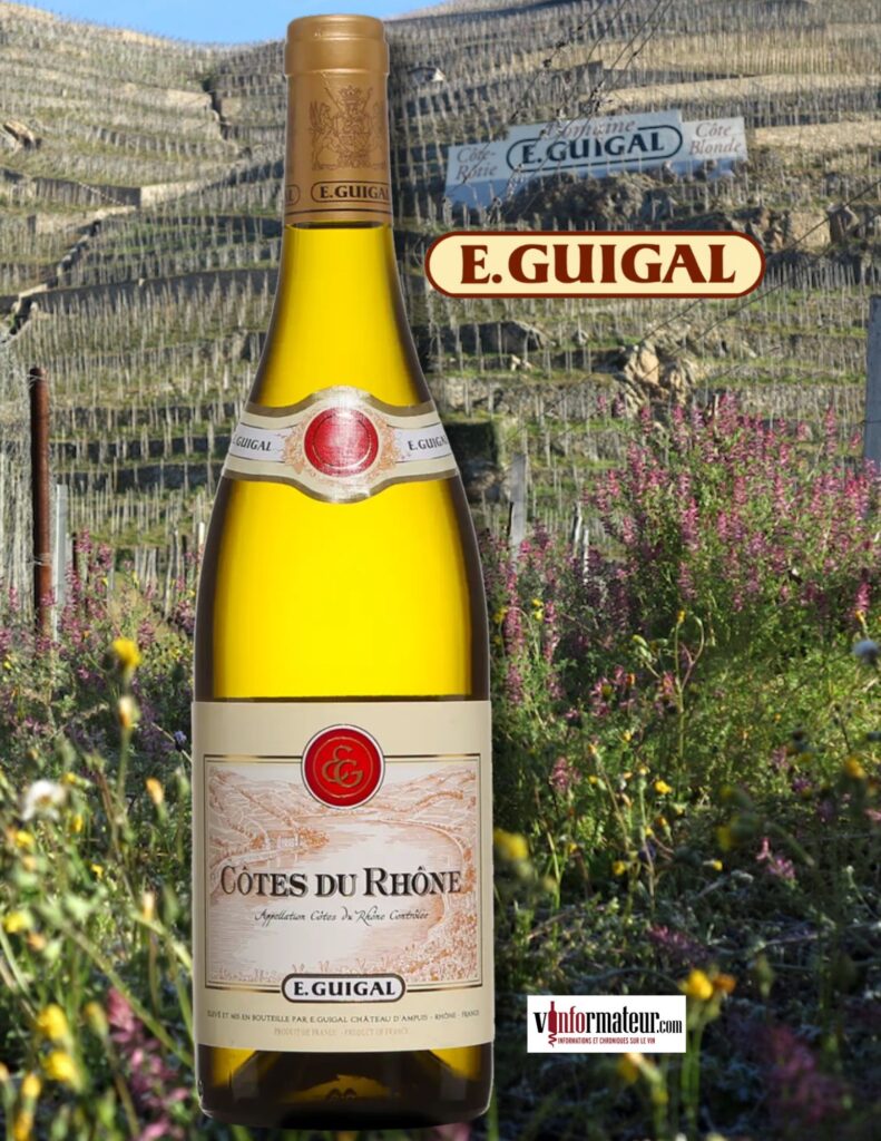 E. Guigal, Côtes-du-Rhône – Méridional, vin blanc, 2024 bouteille