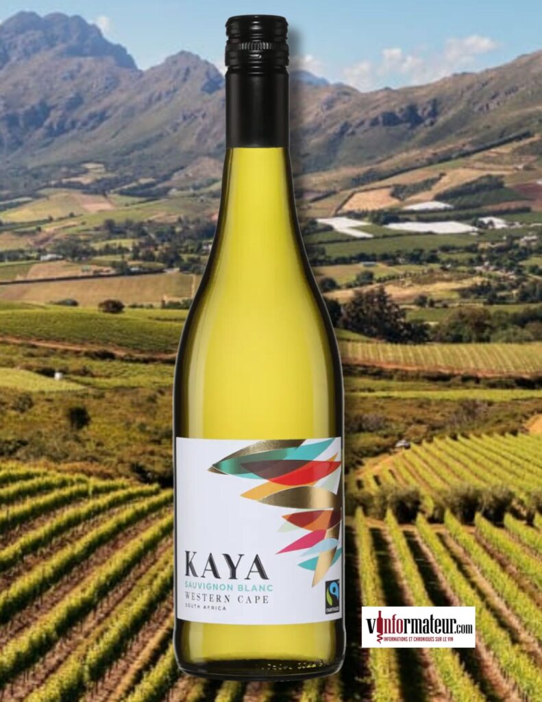 Kaya, Sauvignon blanc, Afrique du Sud, Western Cape, vin blanc
