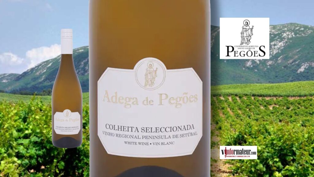 Adega de Pegões Colheita Seleccionada 2024 : blanc riche et expressif à 13,60 $