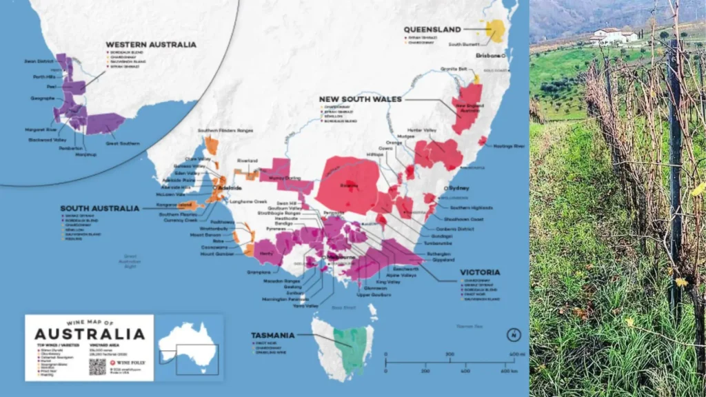 Carte viticole Australie