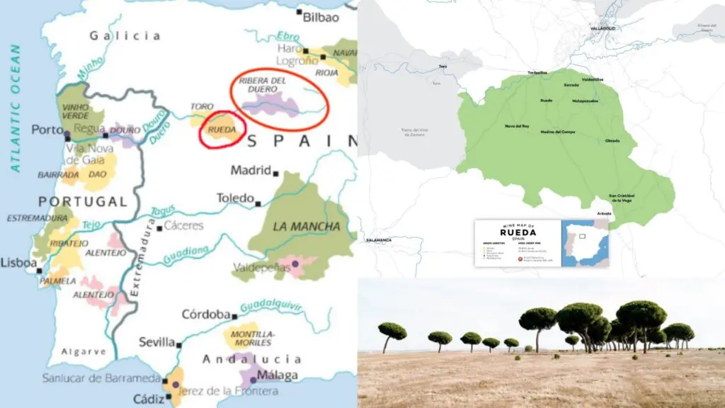 Carte viticole Appellation Rueda