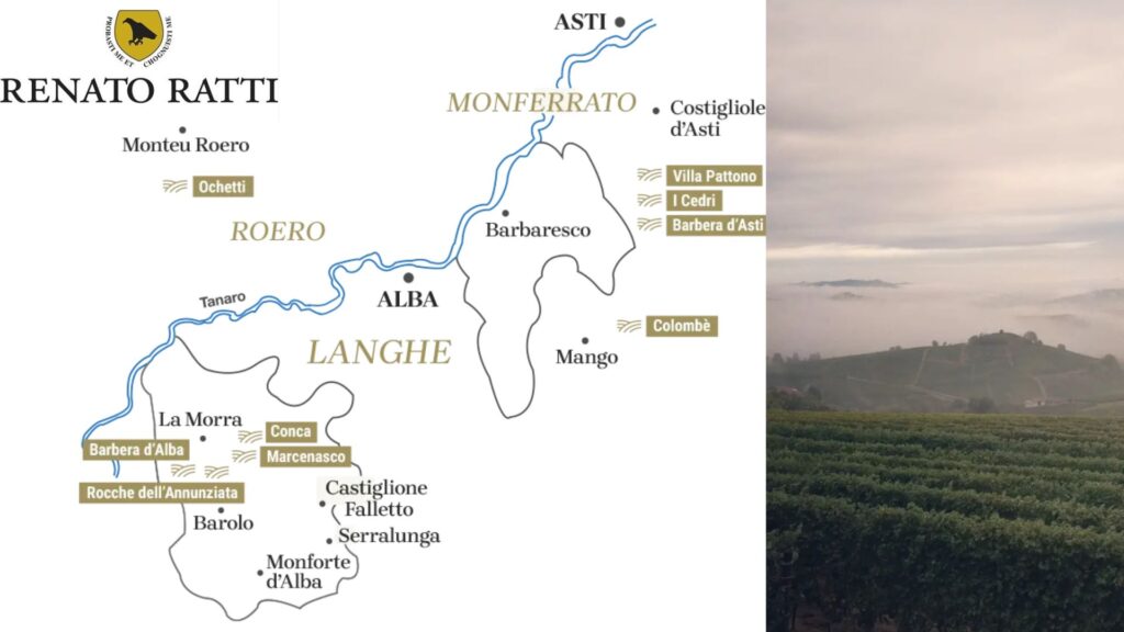 Carte viticole Cantina Ratti - Langhe