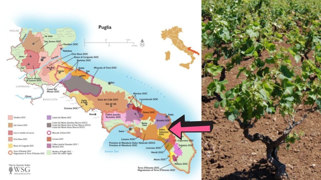 Carte viticole Pouilles