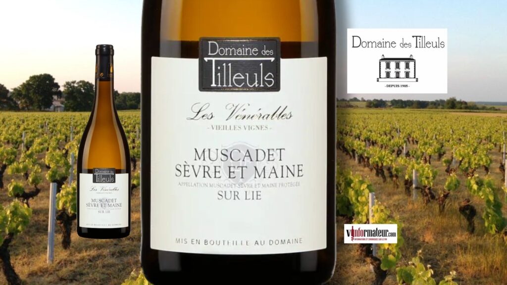 Muscadet Sèvre-et-Maine 2023 : Les Vénérables du Domaine des Tilleuls.