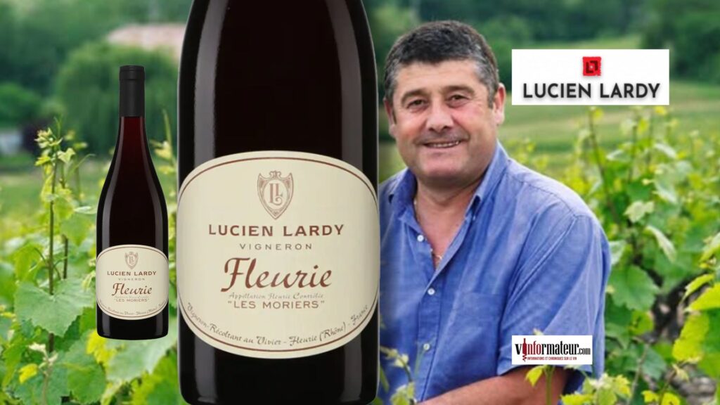 Lucien Lardy Fleurie Les Moriers 2023 (SAQ) : un Gamay élégant du Beaujolais