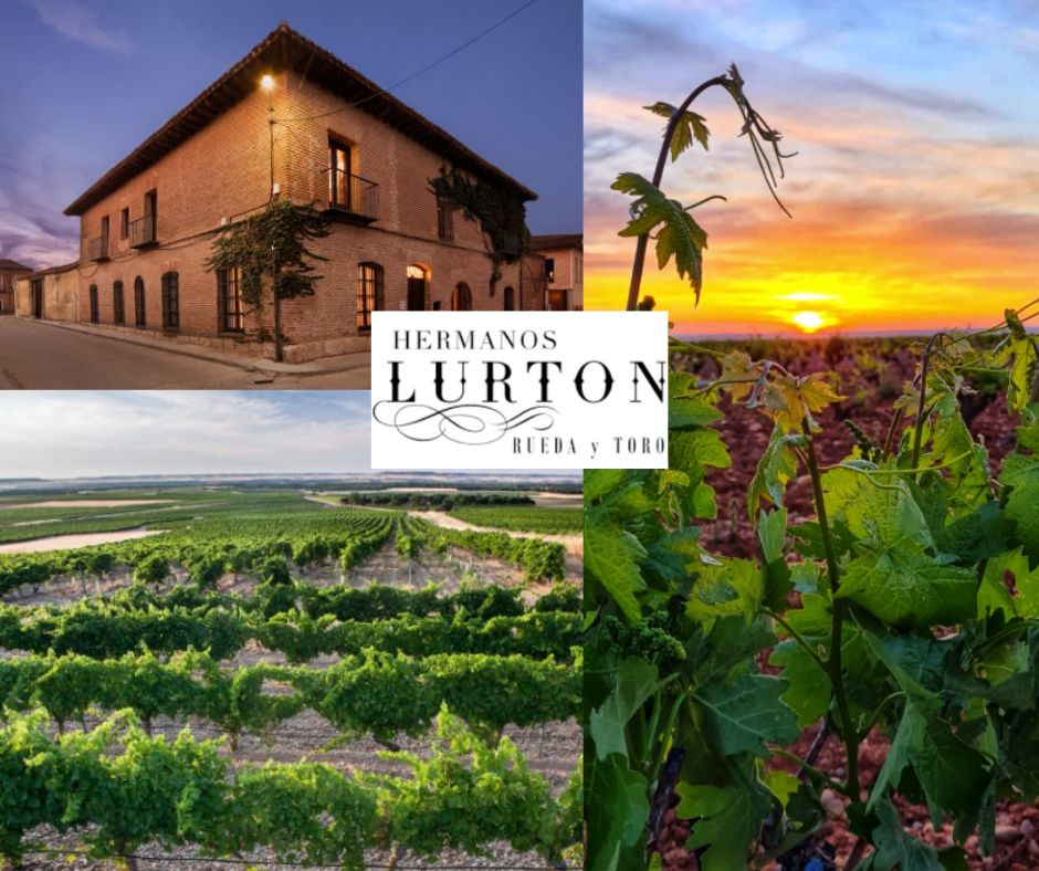 Hermanos Lurton: chai et vignobles