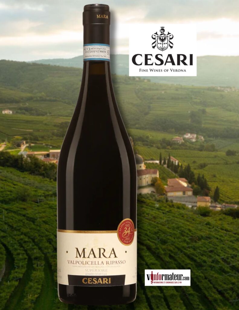 Mara, Italie, Vénétie, Valpolicella Ripasso Superiore DOC, Gerardo Cesari, vin rouge, 2022