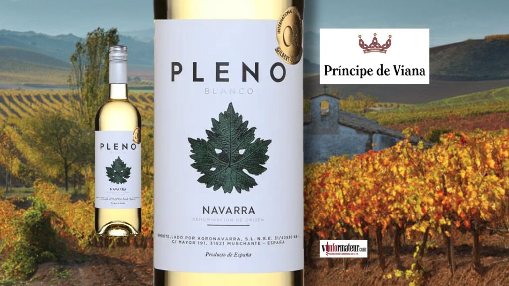 Pleno Navarre 2024 : un blanc frais à 10,15 $ au rapport qualité-prix exceptionnel