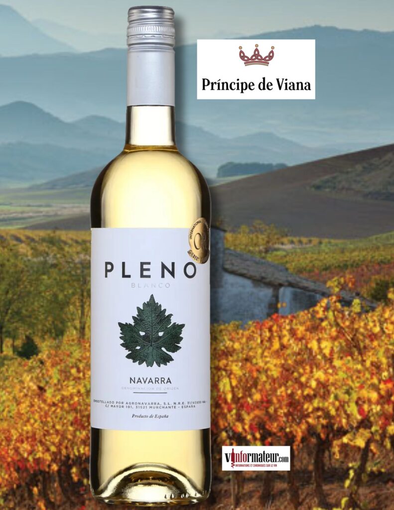Pleno, Espagne, Navarre DO, vin blanc, 2024 bouteille