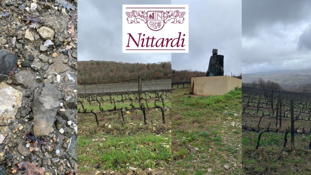 Vignobles Fattoria Nittardi - Castellina in Chianti