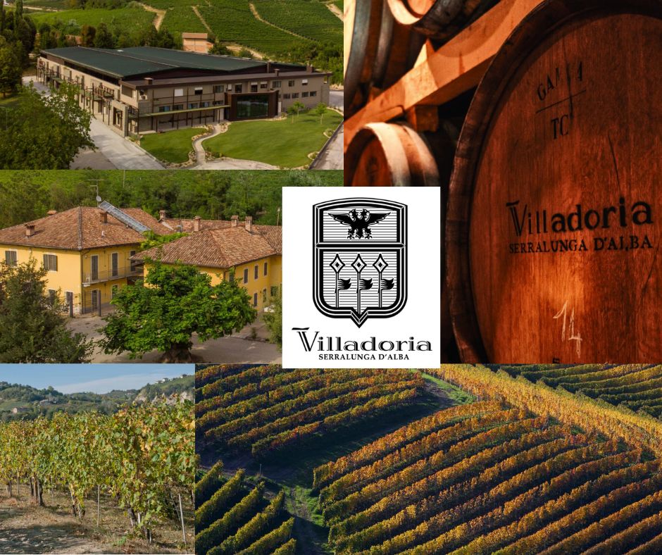 Villadoria Serralunga d'Alba: chai et vignobles