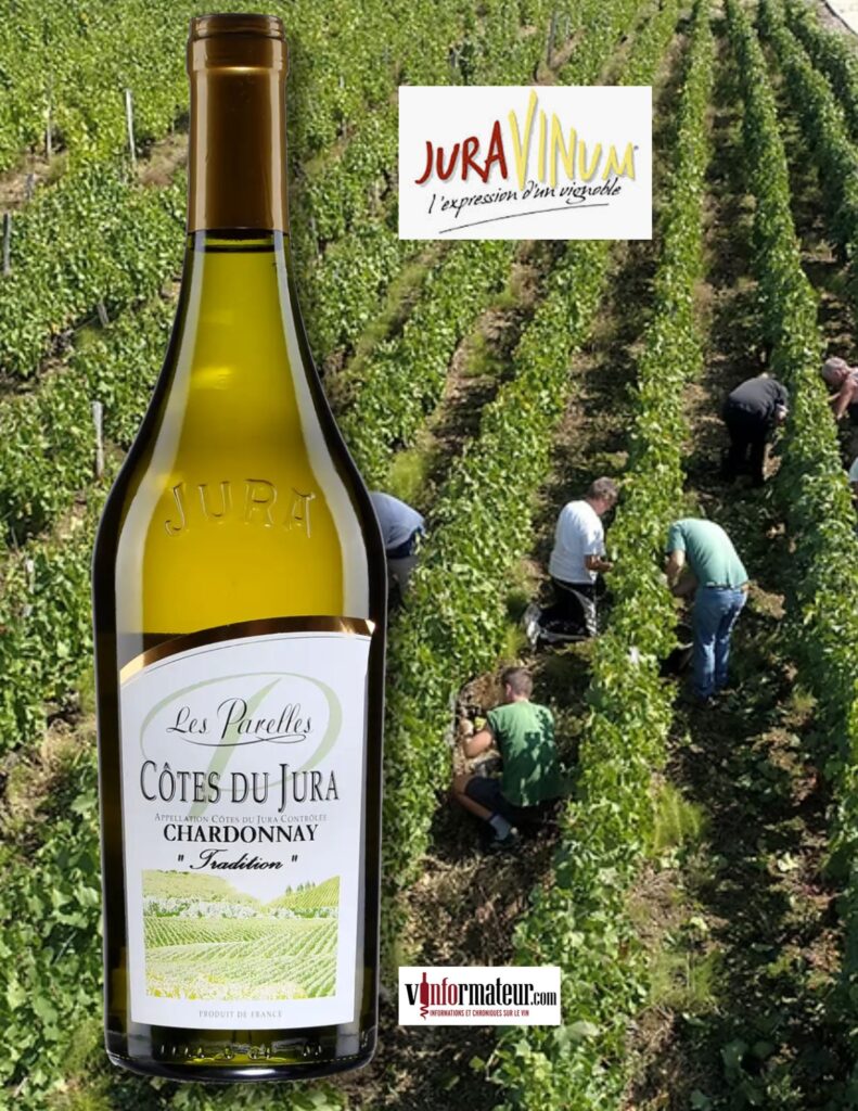 Chardonnay, Les Parelles, Tradition, France, Jura, Côtes du Jura, vin blanc (vin de voile), Juravinum, 2021 bouteille