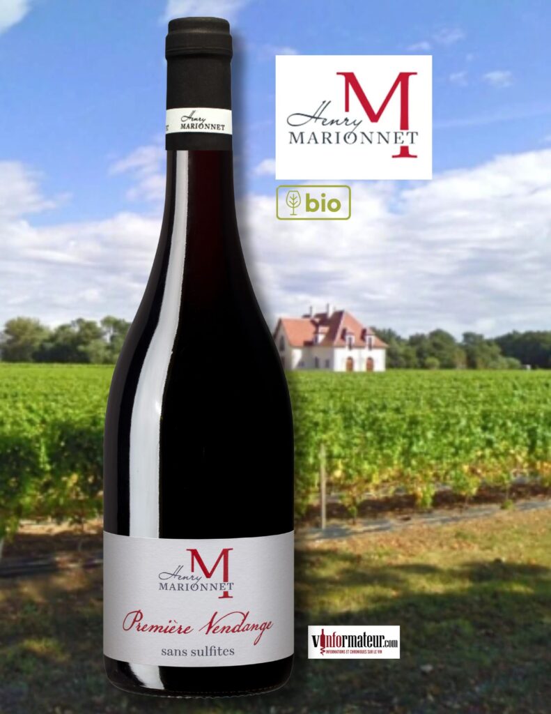 Henry Marionnet, Domaine de la Charmoise, Première Vendange, vin rouge bio, 2024 bouteille