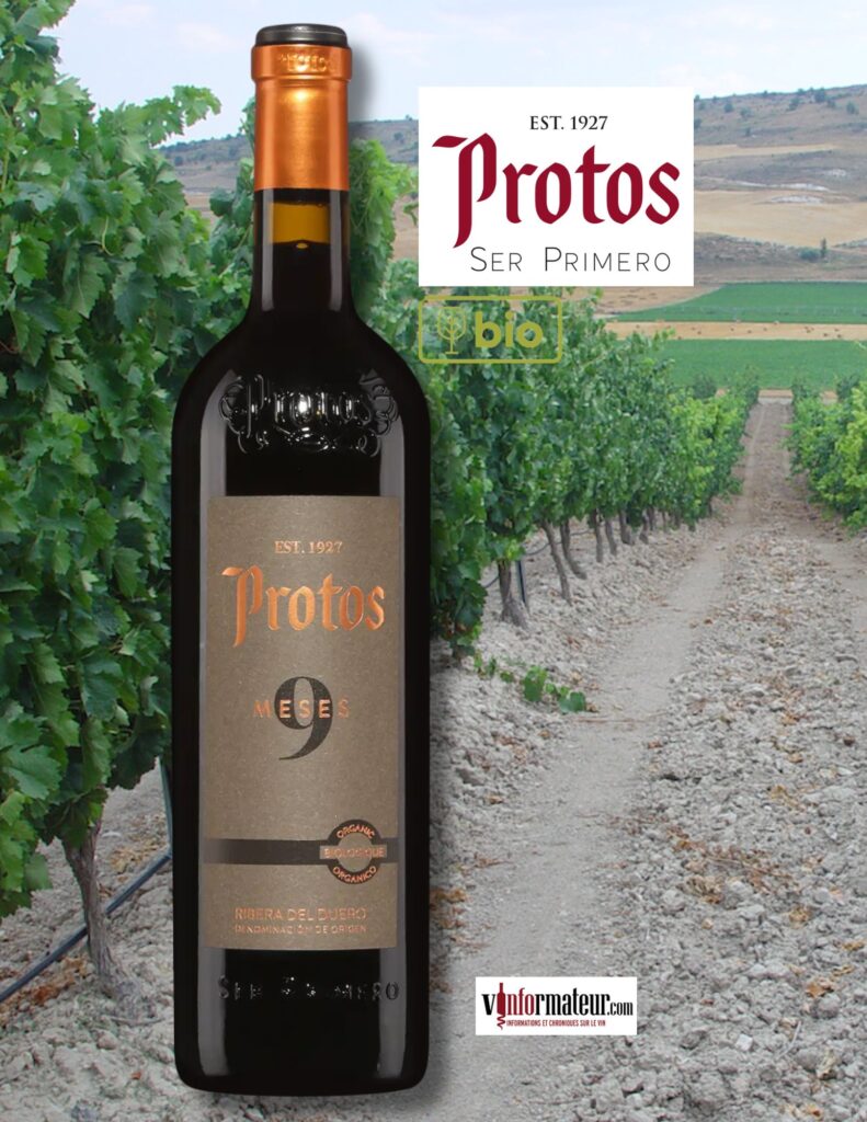 Protos, 9 Meses, Espagne, Ribera del Duero DO, vin rouge bio, 2023 bouteille