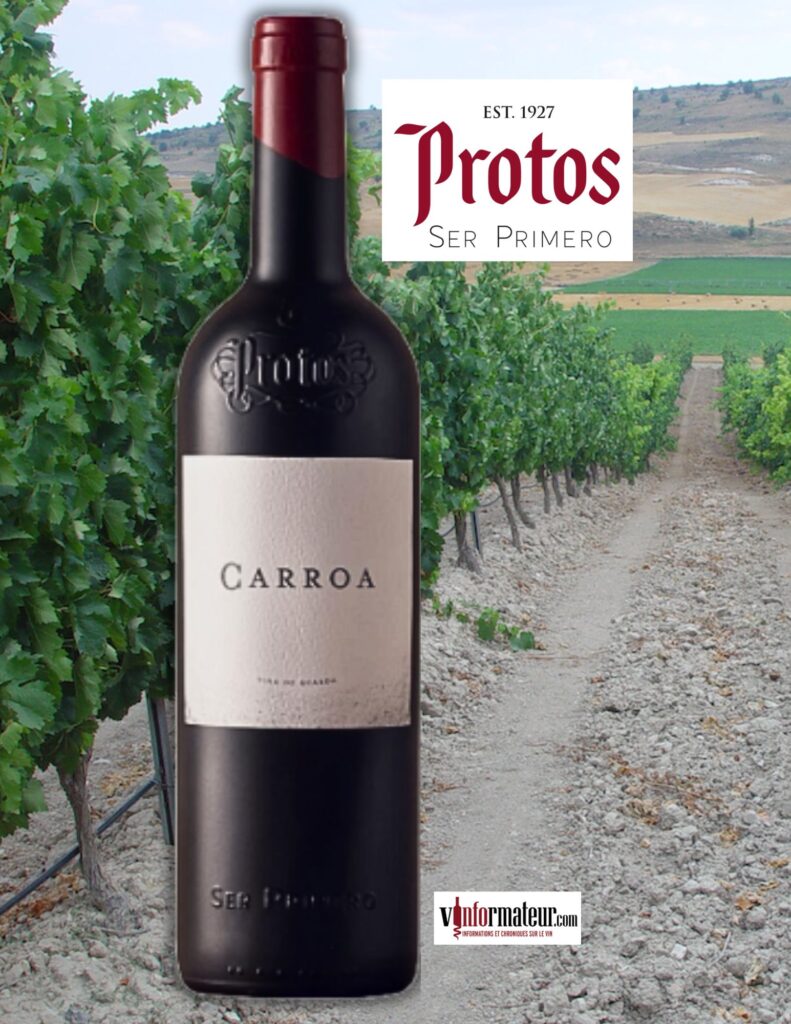 Protos, Carroa, Espagne, Ribera del Duero DO, vin rouge, 2021 bouteille