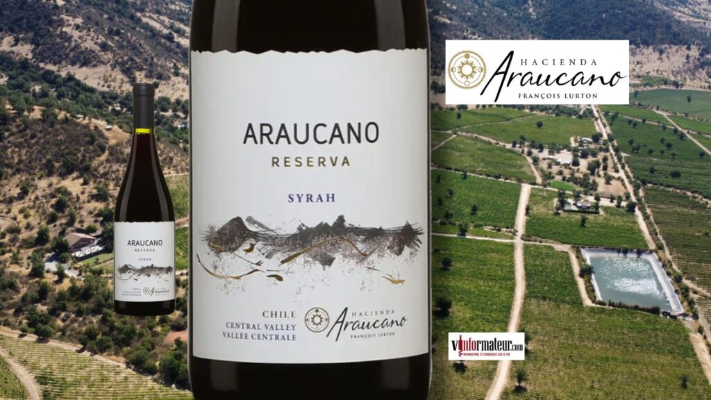 Araucano Syrah Reserva 2024 : un rouge juteux et épicé à seulement 12,85 $ (SAQ)
