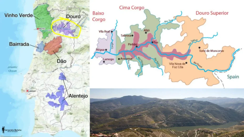 Carte viticole Douro