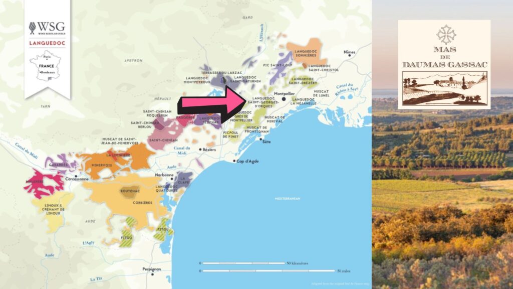 Carte viticole Languedoc