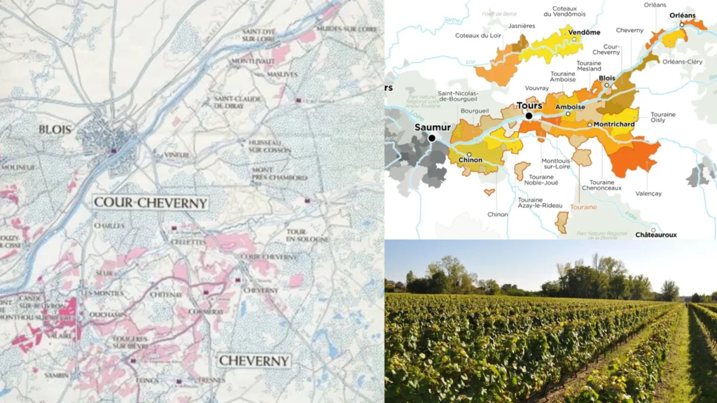 Carte viticole Cheverny