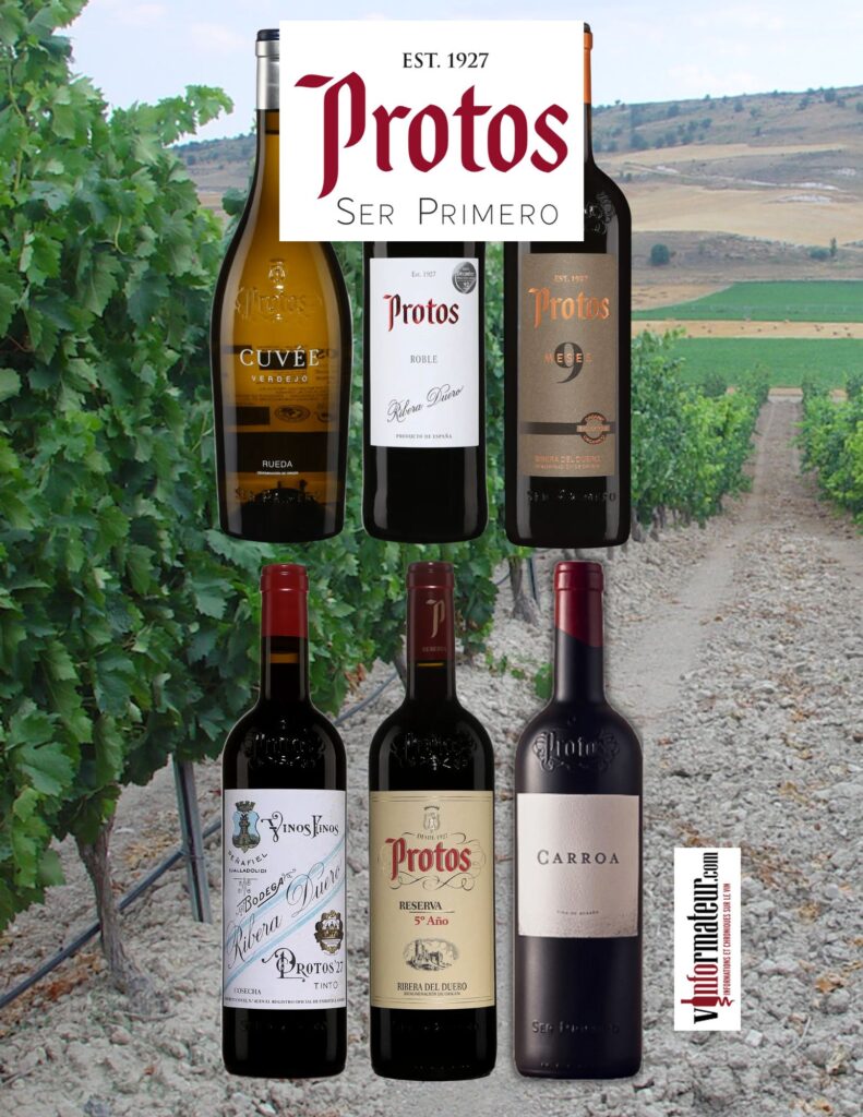 Dégustation vins Bodegas Protos bouteilles