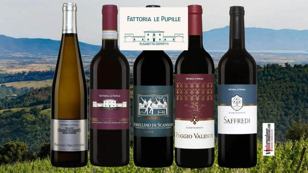 Fattoria Le Pupille – un des joyaux de la Maremma.