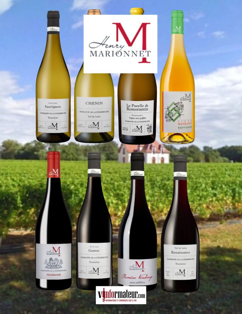 Dégustation des vins Domaine de la Charmoise - Henry Marionnet bouteilles