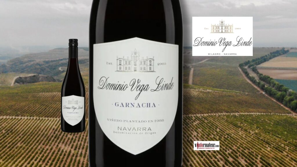 Garnacha 2024 Dominio Vega Linde : petit prix, gros plaisir!