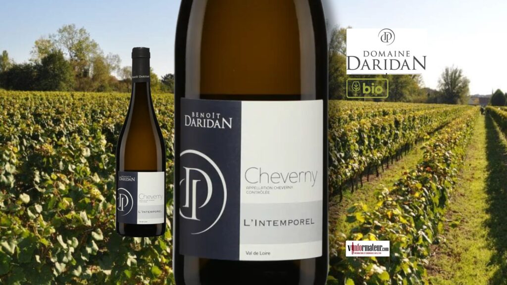 Cheverny 2024 signé Benoît Daridan : fraîcheur, tension et précision au rendez-vous