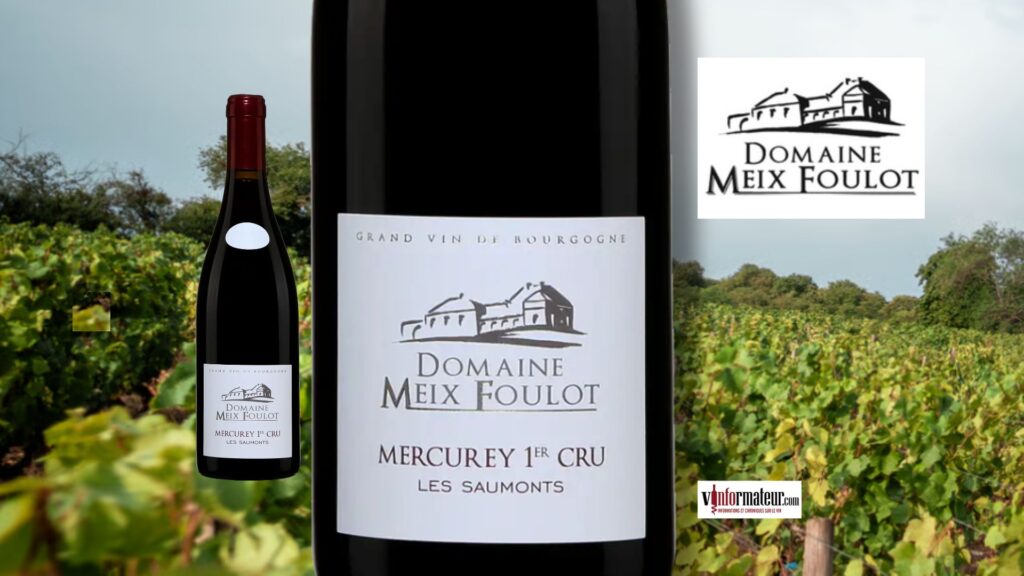 Mercurey Premier Cru Les Saumonts 2022 : Coup de cœur!