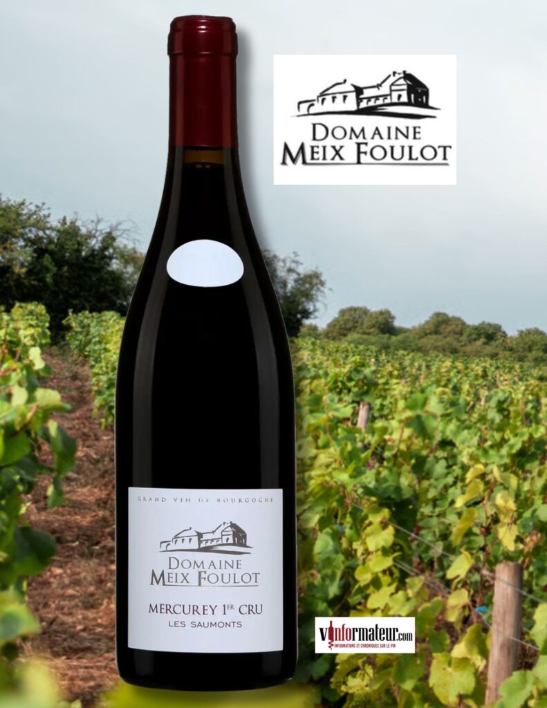 Domaine du Meix-Foulot, Bourgogne, Mercurey Premier Cru, Les Saumonts, , vin rouge, 2022 bouteille