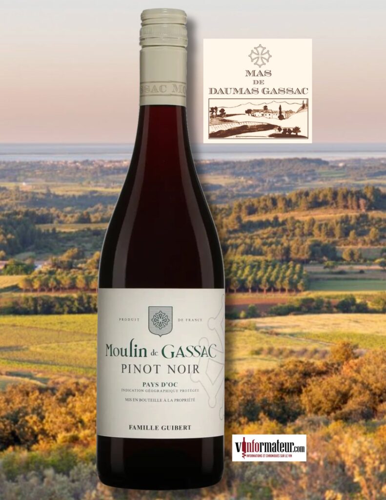 Moulin de Gassac, Pinot Noir, Languedoc- Roussillon, IGP Pays d’Oc, 2024 bouteille