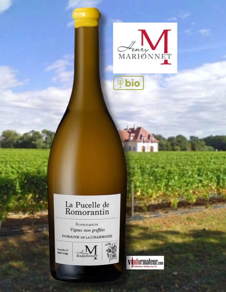 Henry Marionnet, La Pucelle de Romorantin, Domaine de la Charmoise, Val de Loire, 2024 bouteille