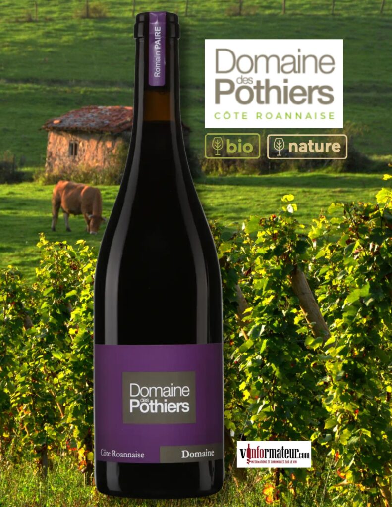 Domaine des Pothiers, Vallée de la Loire, Côte Roannaise, vin rouge bio, 2023 bouteille