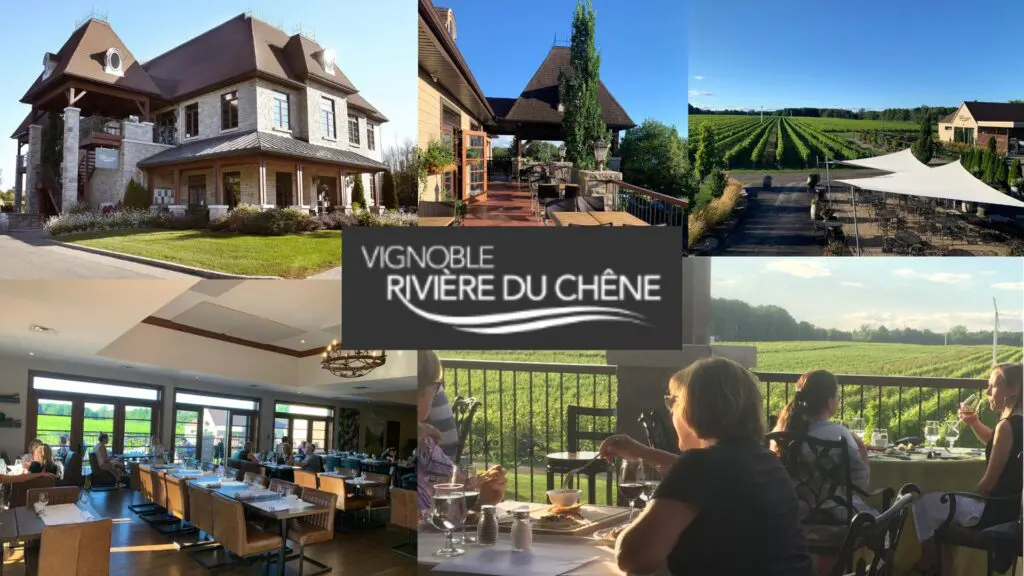 Vignoble Rivière du Chêne: chai et vignobles