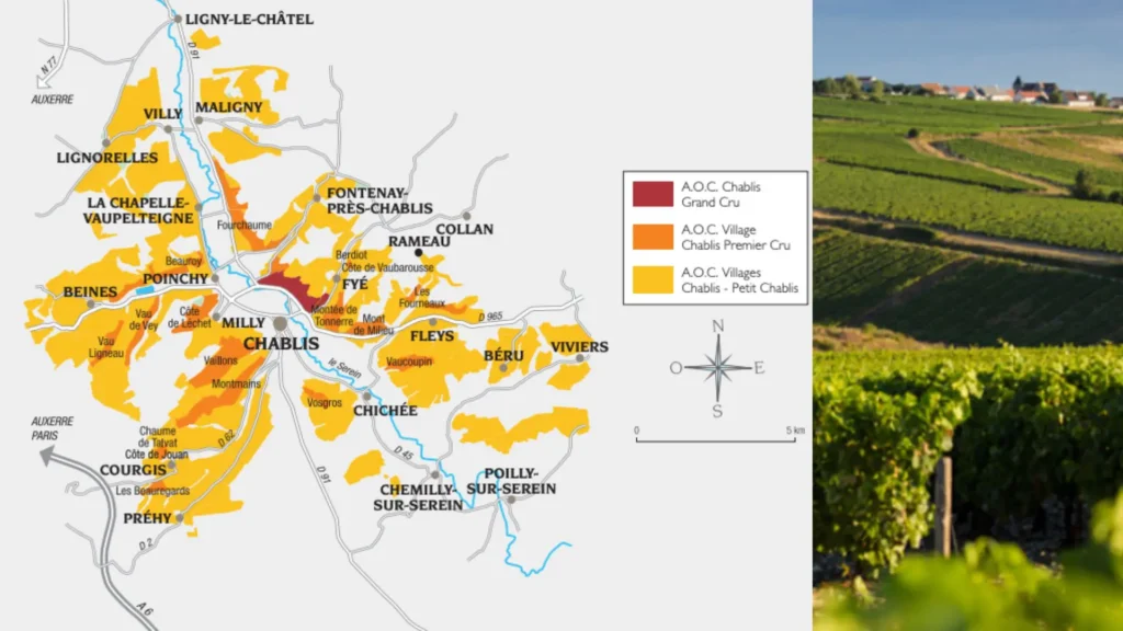 Carte viticole - Chablis