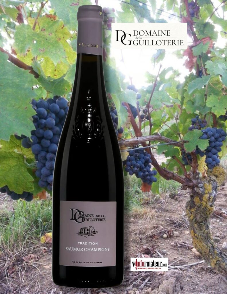 Domaine de la Guilloterie, Cuvée Tradition, France, Val de Loire, Saumur Champigny AOP, Duveau Frères, 2023 bouteille
