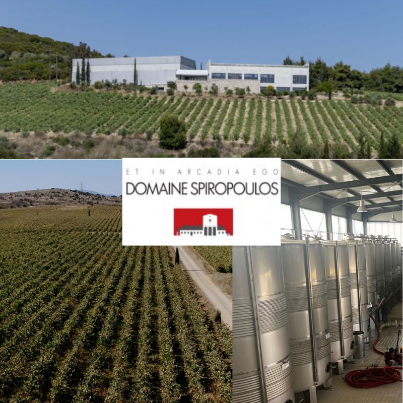 Domaine Spiropoulos: chai et vignobles