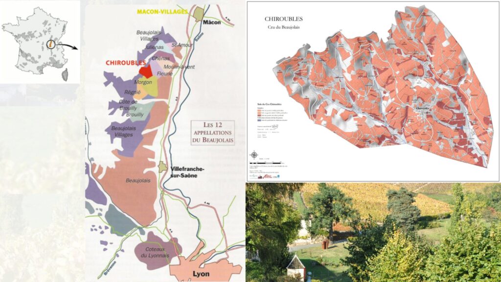 Carte viticole cru Chiroubles
