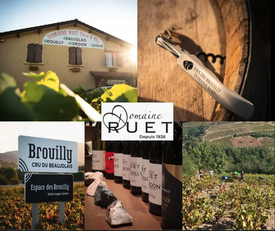 Domaine Ruet: chai et vignobles