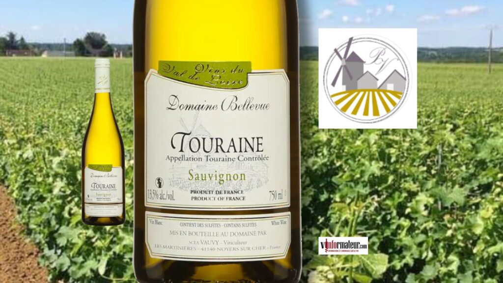 🍋 Ce Sauvignon blanc de Touraine à moins de 20 $ coche toutes les bonnes cases