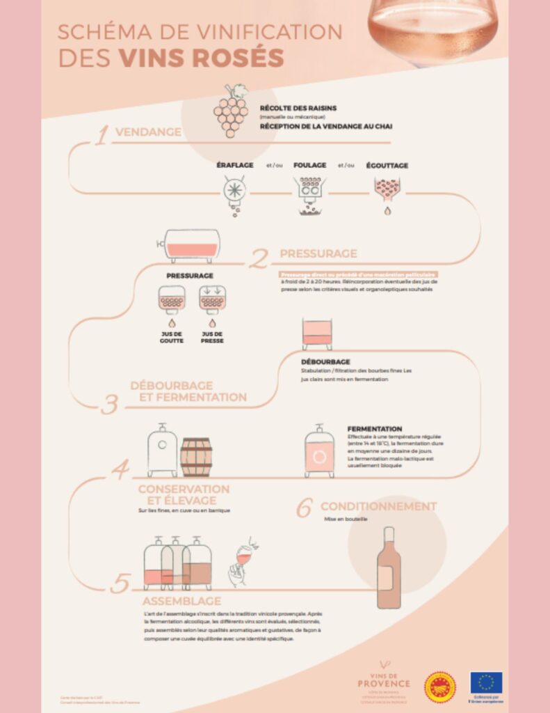 Vinification rosés de Provence