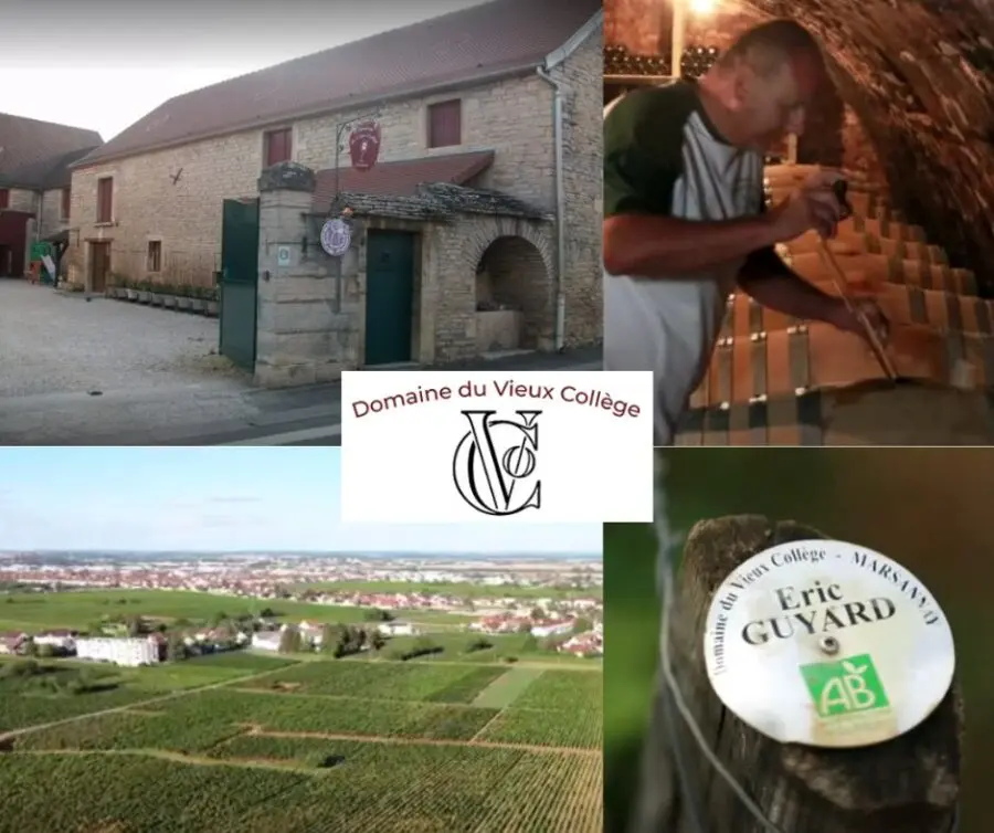 Domaine du Vieux Collège: Eric Guyard, chai, vignobles
